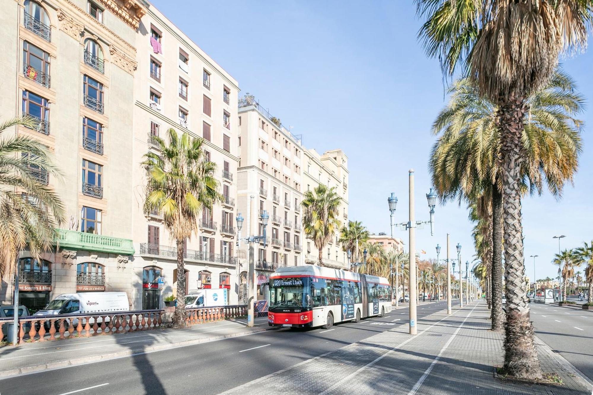 Alcam Colon Barcelona